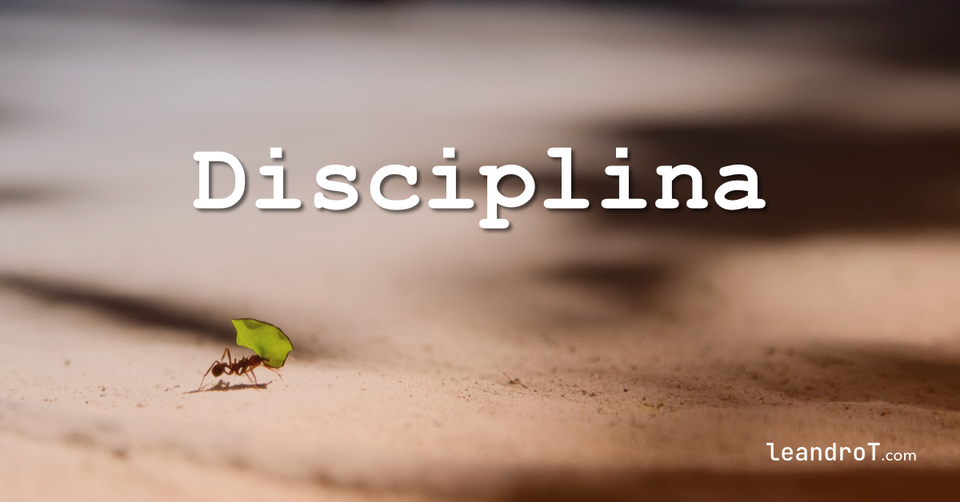 Hormiga trabajadora en medio de un campo abierto bajo el titulo: Disciplina